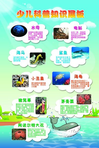 汽车生活源动力